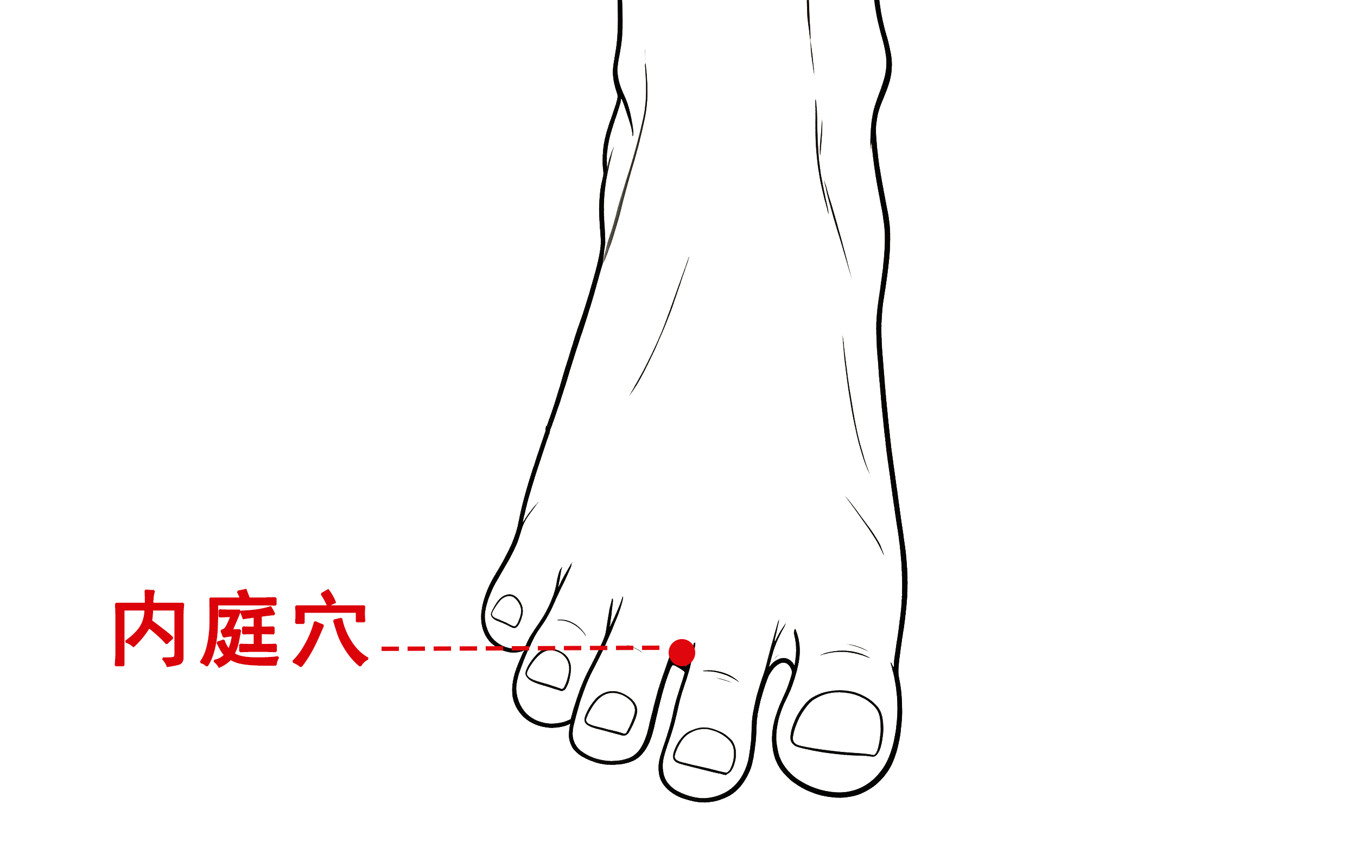内庭穴1.jpg
