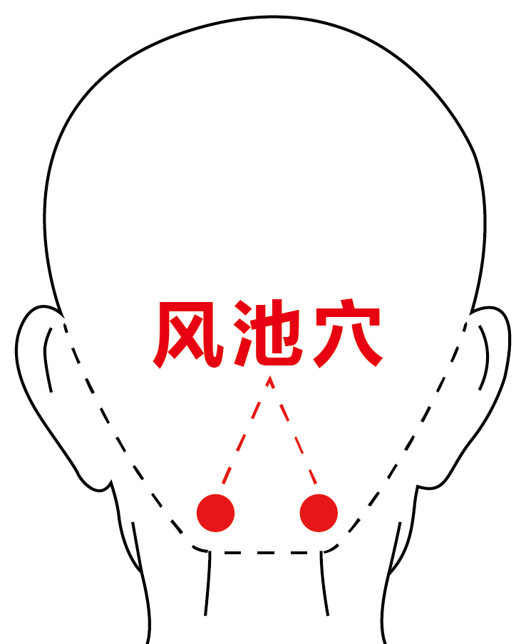 每月一穴配图 (1).png
