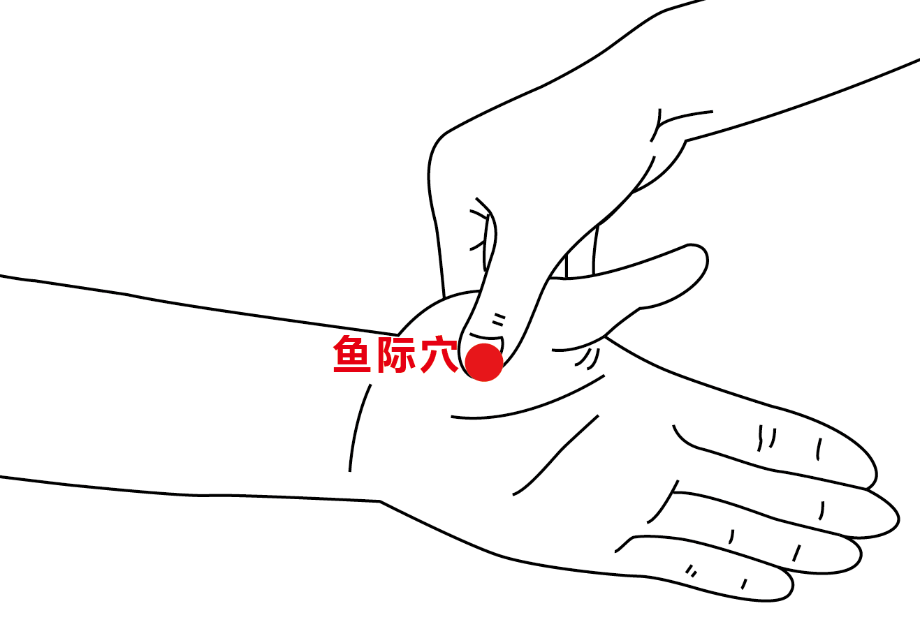 鱼际穴配图 (3).png