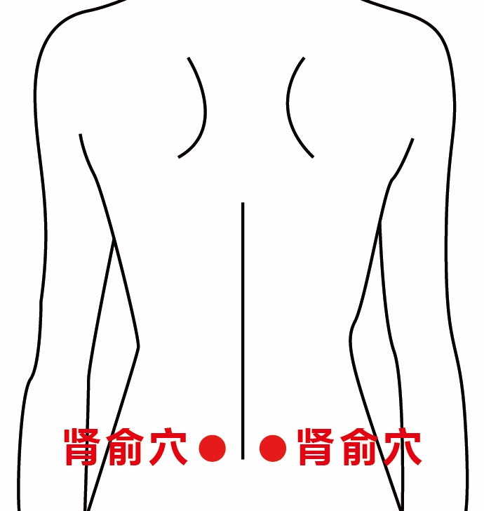 肾俞穴 配图 (1).jpg
