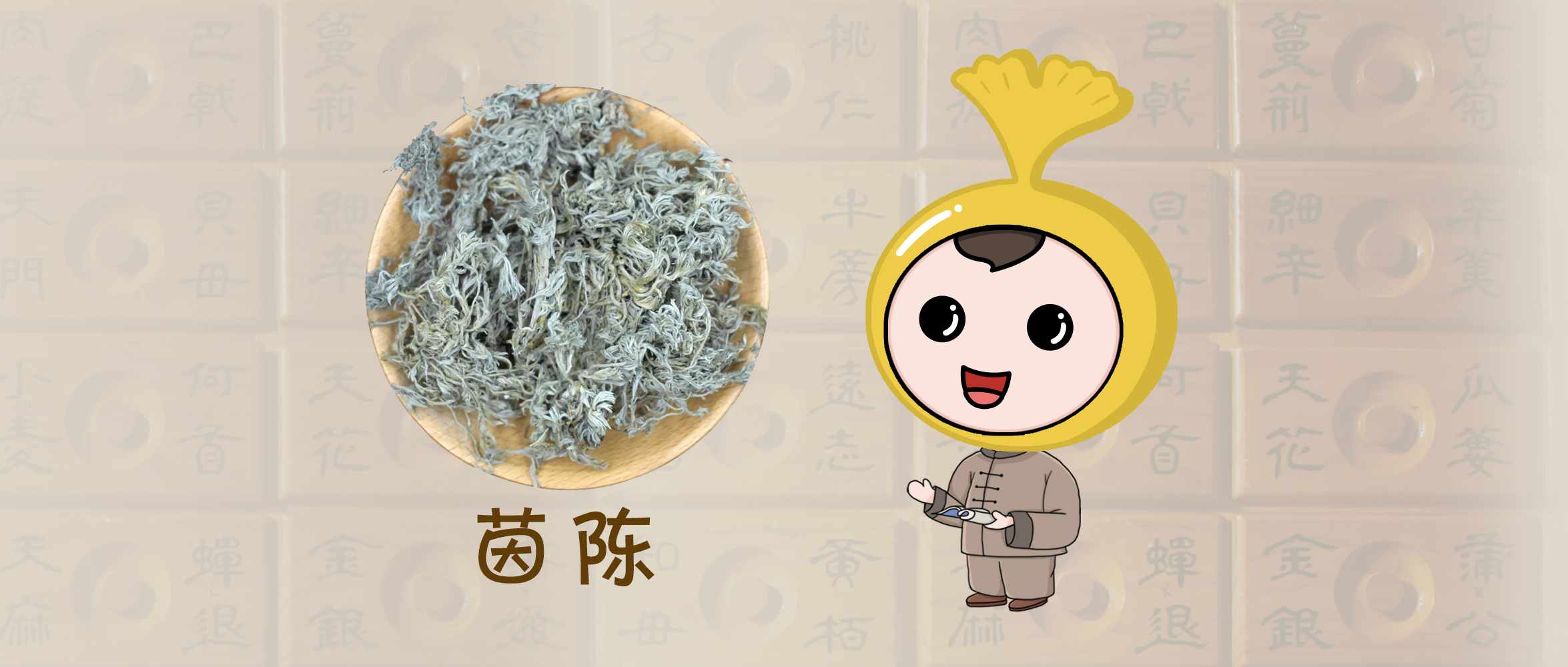 茵陈头图.jpg
